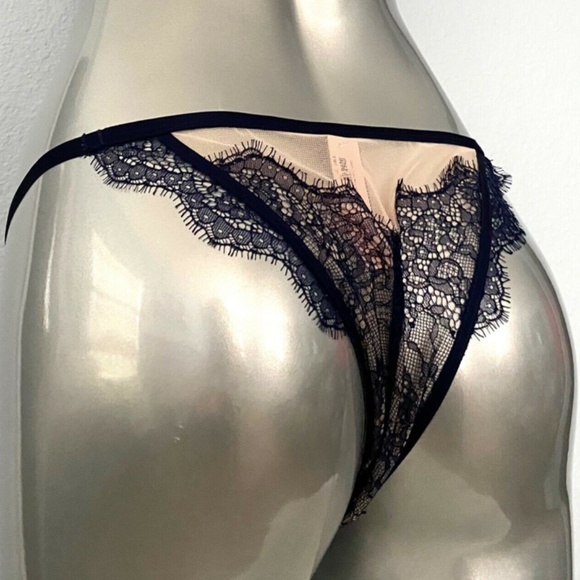 Victorias Secret VS Nwt Sexy Mesh & Blue Lace String Itsy Panty Medium - Picture 4 of 5